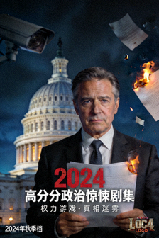 2024年高分美剧海报：政治惊悚剧集
