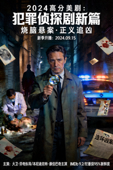 2024年高分美剧海报：犯罪侦探剧新篇